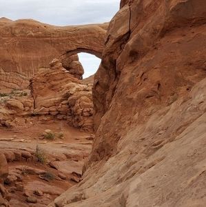 Meet your Posher, Trisha